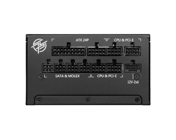 MSI - ATX 1000W - 80+ Gold - MPG A1000GS PCIE5 Noir