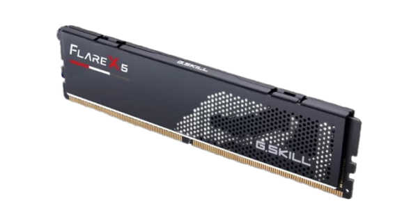 G-SKILL - F5-5600J3636C8GH1-FX5 (1x8Go DDR5 5600Mhz)
