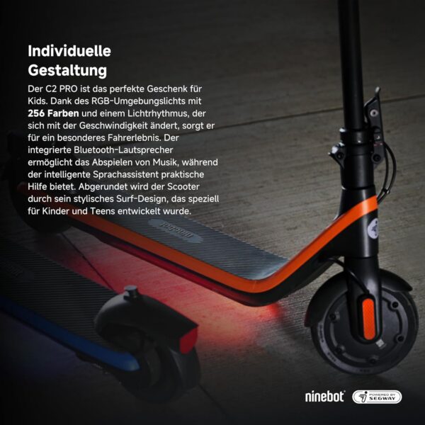 Ninebot - Ninebot KickScooter C2 Pro E - trottinette électrique