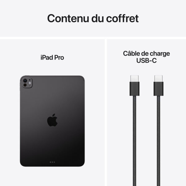 Apple iPad Pro M5 11 pouces 256 Go Wi‑Fi Noir