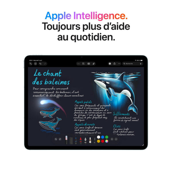 Apple iPad Air M4 13 pouces Wi-Fi + Cellular 128 Go