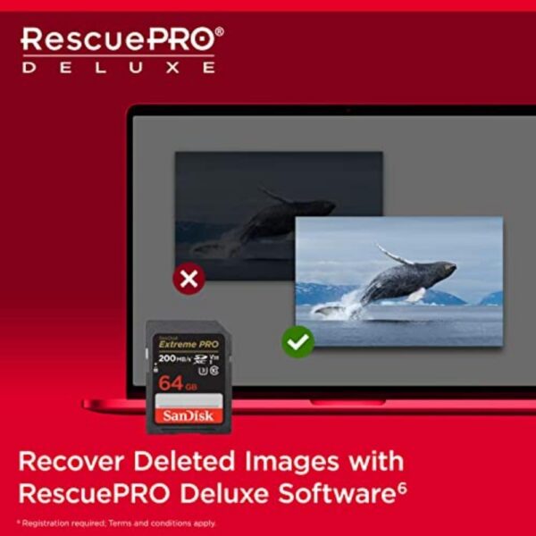 SanDisk Extreme PRO SDXC 64 Go UHS-I U3 V30 200 Mo/s