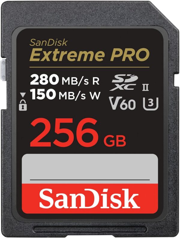SanDisk Extreme PRO SDXC 64 Go UHS-I U3 V30 200 Mo/s