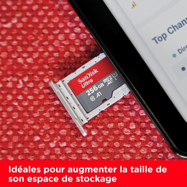 Ultra microSDXC UHS-I 256 Go SDSQUAC-256G-GN6MA